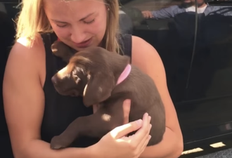 VIDEO: Man Enlists Puppy’s Help To Propose To His Girlfriend