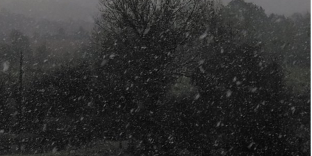 PICS: The First Of The Christmas Snowfall In Ireland