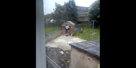 VIDEO: ISPCA Releases Shocking Footage Of Woman Kicking Small Injured Dog