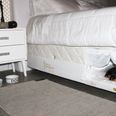 In The Greatest Invention Ever, This Bed Has A Separate Compartment For Your Pet
