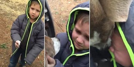 WATCH: Little Boy Bursts Into Tear When Reunited With Lost Dog