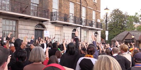 WATCH: Hundreds Of Fans Raise Their Wands To Honour Alan Rickman