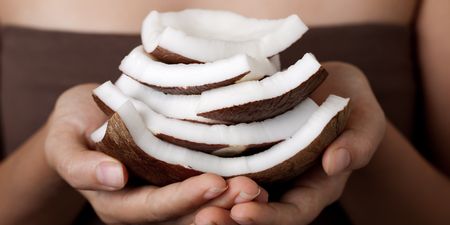 Love coconuts? Then you might want to read this