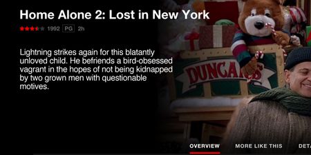 Netflix Descriptions Aren’t Always Accurate, So We’ve Rectified Them…