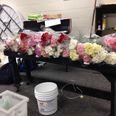 American High School Student Bought EVERY Girl In School Flowers For Valentine’s Day