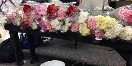 American High School Student Bought EVERY Girl In School Flowers For Valentine’s Day