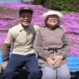 A Man Spent A Decade Building A Garden So His Blind Wife Could Smell The Flowers