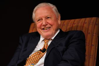 Ten Years Later David Attenborough Is Returning For A Second Planet Earth