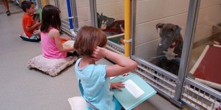 PICS – Kids Reading To Shelter Dogs Is Too Cute