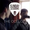 Sunday Sessions // The Ocelots