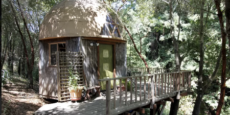 This Tiny Cabin Is The Most Popular Property On Airbnb