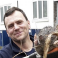 PIC – This Giant Four Foot Rat Found In London Is Beyond Belief