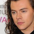 Harry Styles Has Just Bagged A Pretty Massive Film Role