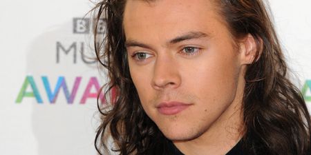 Harry Styles Has Just Bagged A Pretty Massive Film Role