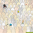 PIC – People Can’t Find The Easter Egg In The Sea Of Bunnies And They’re Stressing Out