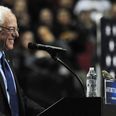 VIDEO – The Crowd Going Wild For A Tiny Bird At A Bernie Sanders Rally Is ADORABLE