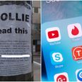 A Man is Trying to Win Over a Girl Who Blocked Him on Tinder With These Creepy Public Notices