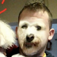 PIC: Irishman Does Face Swap With His Dog To Get A Hilarious Surprise
