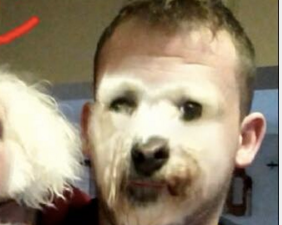 PIC: Irishman Does Face Swap With His Dog To Get A Hilarious Surprise