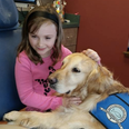 PICS – This Therapy Dog Helps Kids Be Less Frightened Of The Dentist