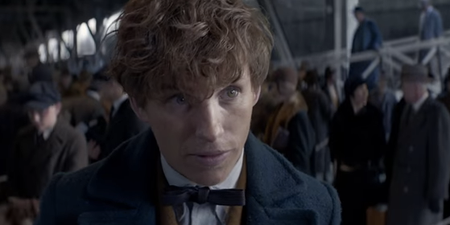 TRAILER – Potter Spinoff ‘Fantastic Beasts And Where To Find Them’ Looks UNREAL