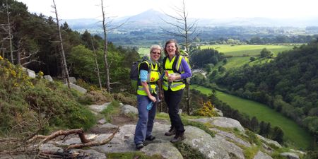 Dust Off Your Hiking Boots For A Very Special Trail Through The Dublin Mountains