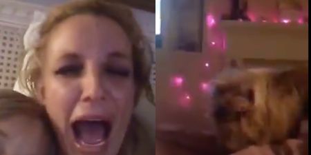 WATCH: Britney loses it over a dog eating her cheese in home video