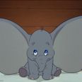 Penneys have released the most adorable Dumbo collection and we need it all