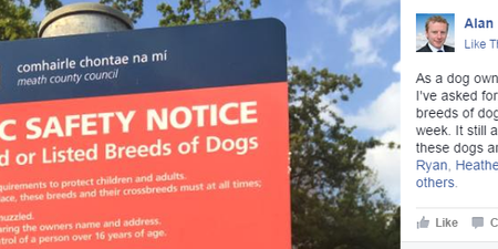 This county councillor has ticked off a LOT of dogowners