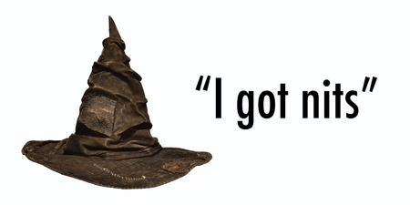 EXCLUSIVE INTERVIEW with the Sorting Hat from Harry Potter