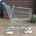 Man finds an abandoned trolley, adopts it and calls it Trevor