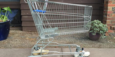 Man finds an abandoned trolley, adopts it and calls it Trevor
