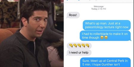This guy pretended to be Ross Geller after a wrong number text him