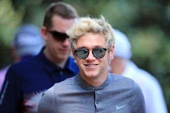 Niall Horan shames abusive online trolls messaging him