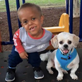 This little boy with dwarfism made a new friend and it’s heartwarming