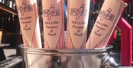 There is a cocktail ice pop and it sounds AMAZING