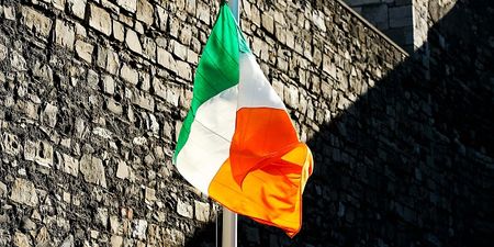 PIC: One Irish fan has potentially p*ssed off his patriotic English neighbours