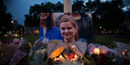 COMMENT: We don’t need to know that Jo Cox’s suspected killer loved to garden