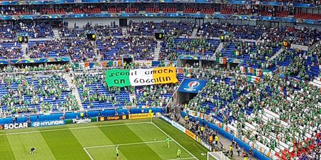 This flag being passed around Irish fans has a special message for the French