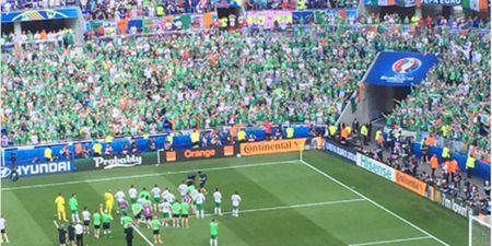 Irish squad and fans share a special moment following today’s defeat