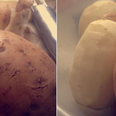 People are loving this 12-year-old’s observation about these spuds