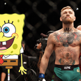 Definitive proof that Conor McGregor and SpongeBob SquarePants are the same person