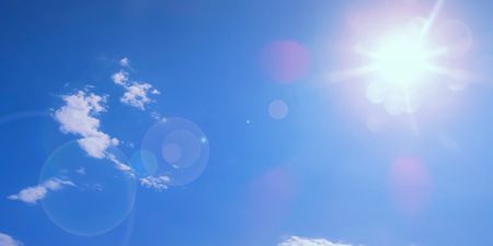 Here’s the proof that tomorrow is going to be absolutely gorgeous