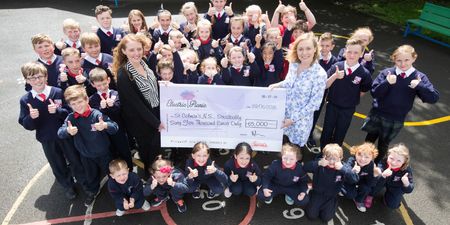 Electric Picnic organisers help fund land for local school