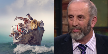 Noah backs up Danny Healy-Rae’s claims against climate change