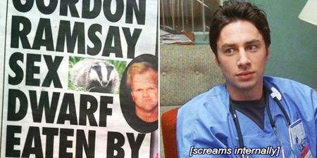 Scrubs star Zach Braff is loving this story about a dead Gordon Ramsay ‘sex dwarf’ eaten by a badger