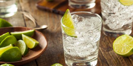The worlds first non-alcoholic gin finally exists