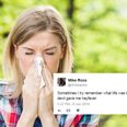 11 tweets that are far too real for anyone with hayfever