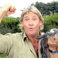 Read Steve Irwin’s touching letter to his parents, found 10 years after his death