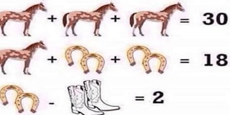 People are boggled by this horse puzzle
